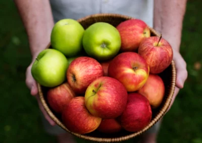 Hands holding a woven basket full of green and red apples