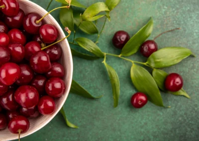 A bowl full of fresh sour cherries next to a twig with leaves