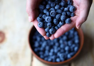 Hands full of blueberries above a bowl of blueberries